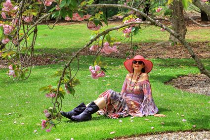 Japanese Garden - Cowra 